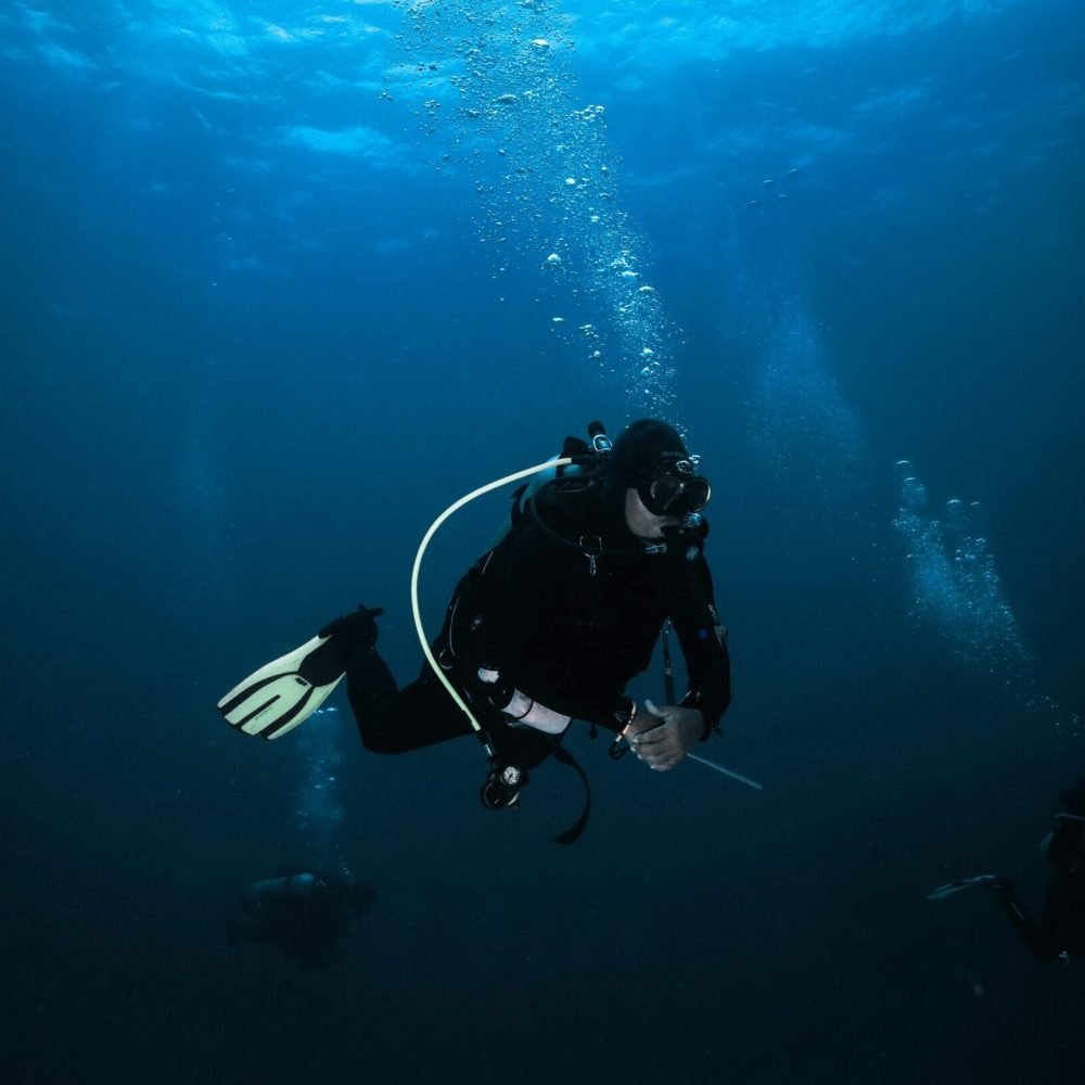 pexels-mattwaters-13029209 pexels-mattwaters-13029209